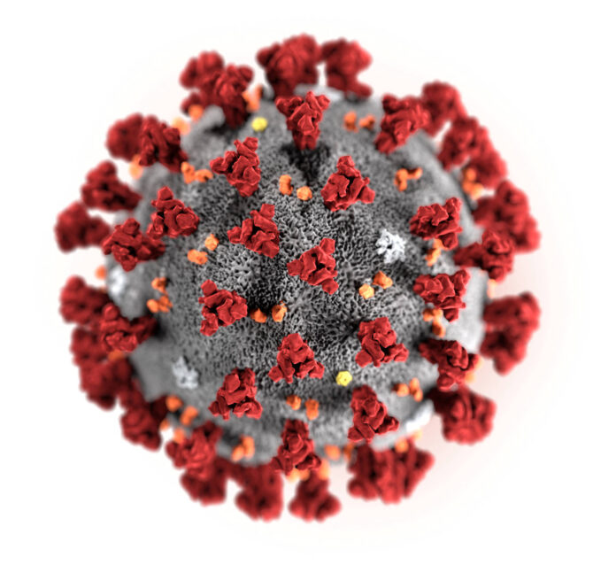 coronavirus-ilustracao-mostra-novo-virus-29012020214335295