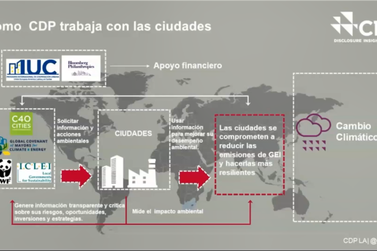 Treinamento CDP