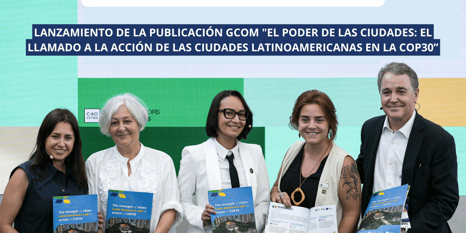 Publicación ESPANOL